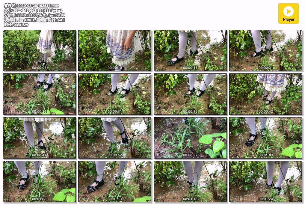 2020-08-20-102534