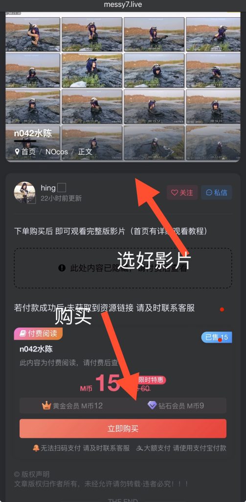 图片[1]-萌新观看充值教程-Messy艺术社