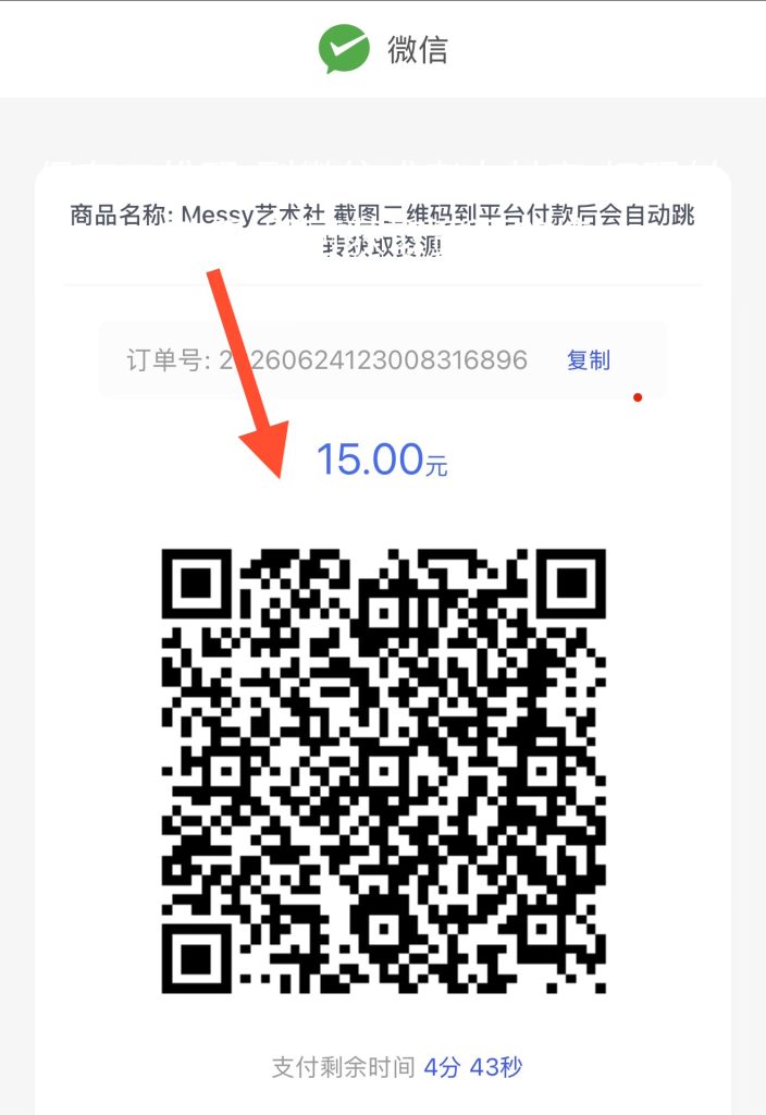 图片[3]-萌新观看充值教程-Messy艺术社